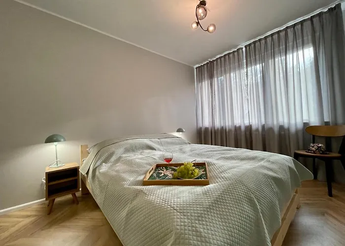 Apartament W Srodmiesciu