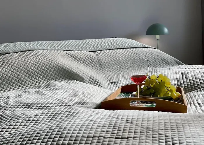 Apartament W Srodmiesciu