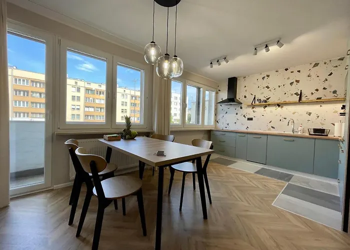 Apartament W Srodmiesciu